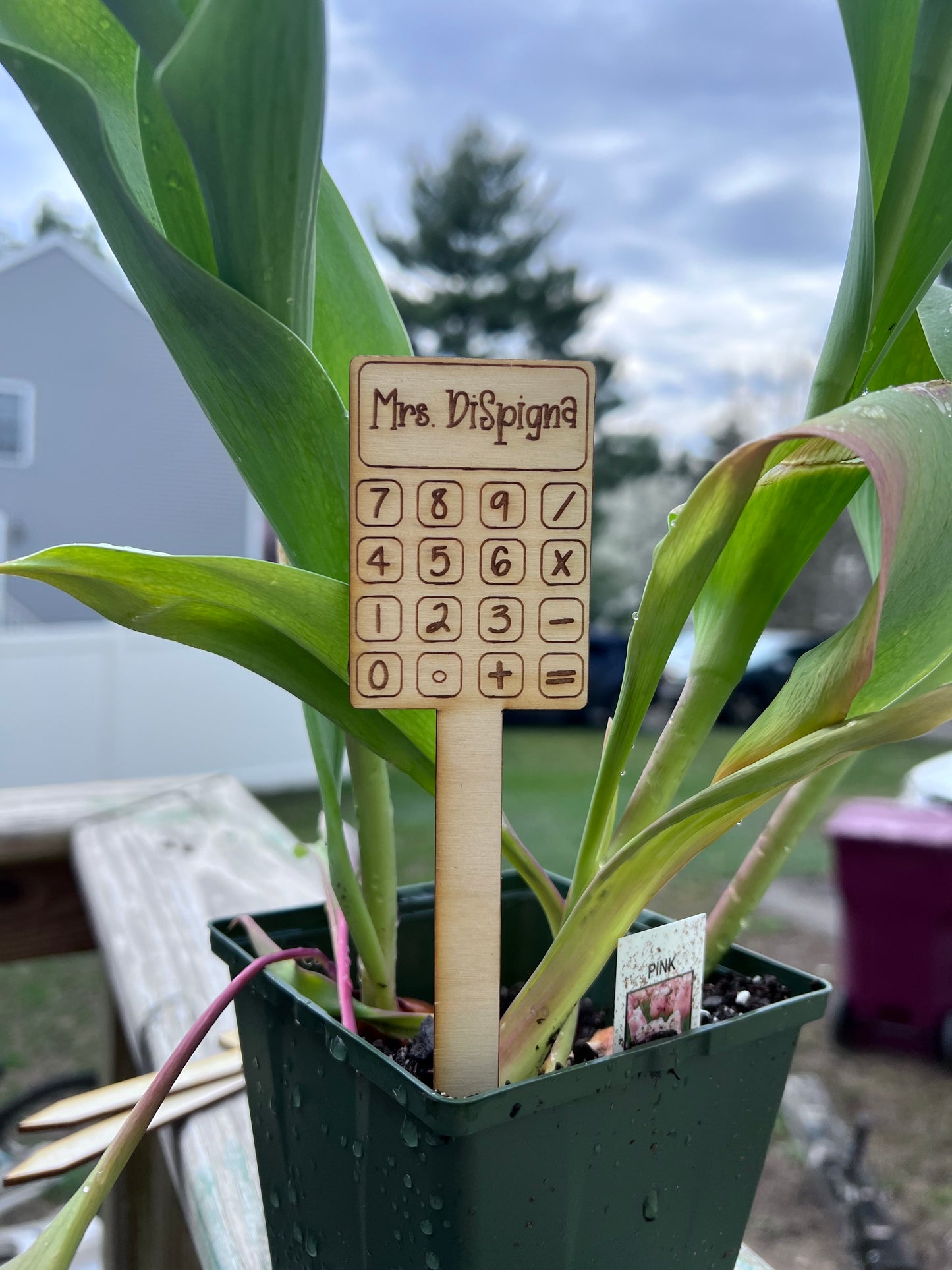 Plant Markers for Teachers