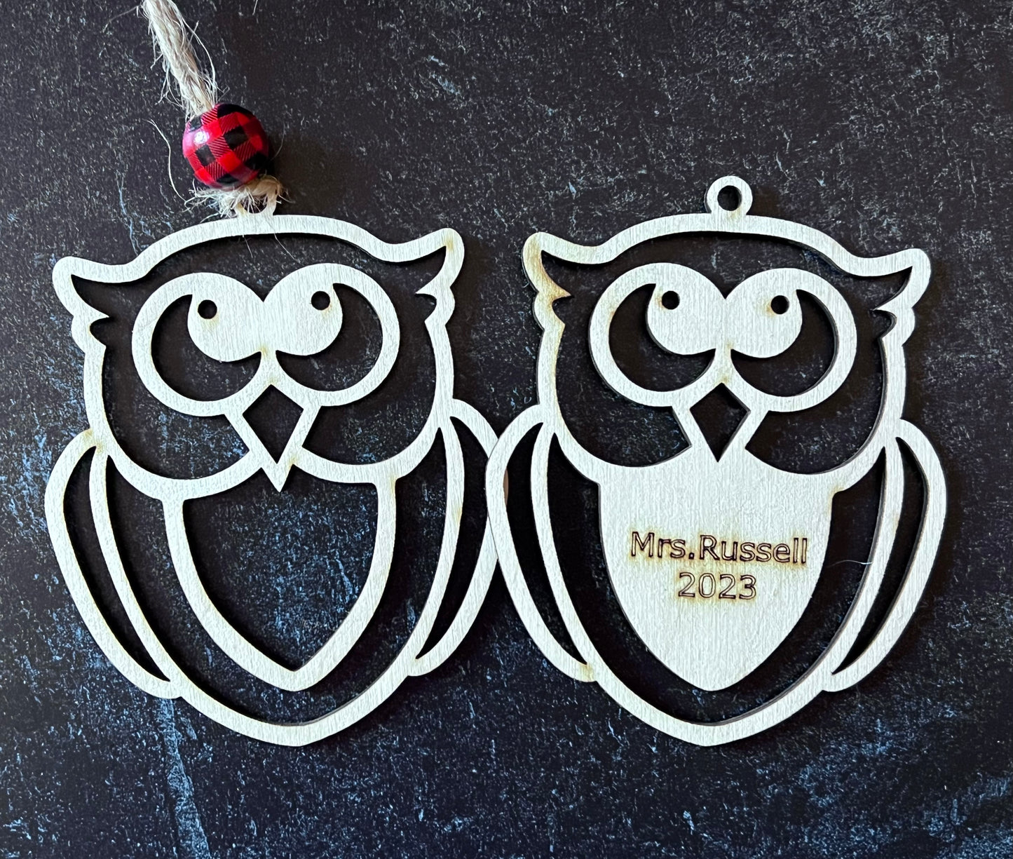 Wise Educator Ornament