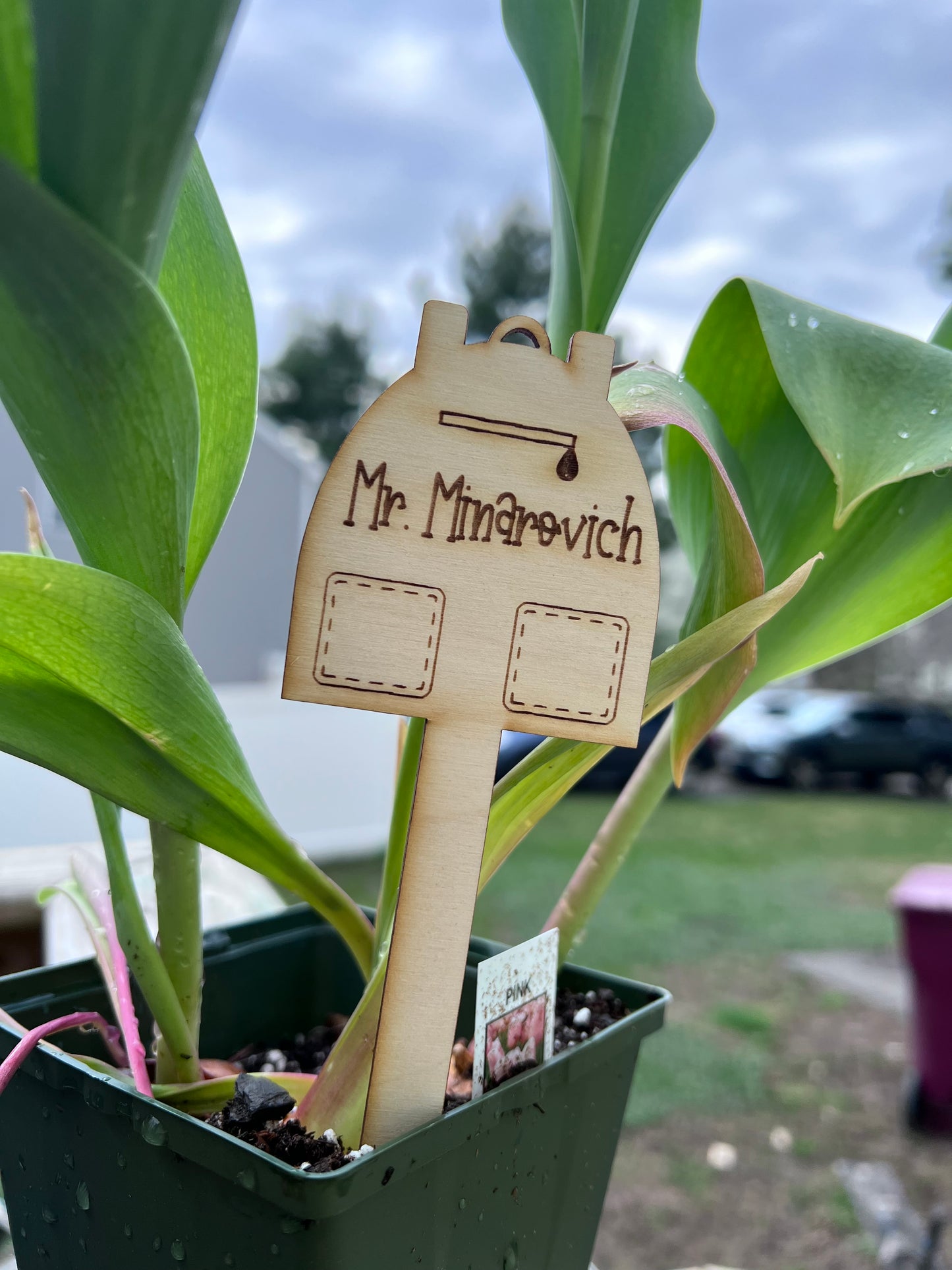 Plant Markers for Teachers