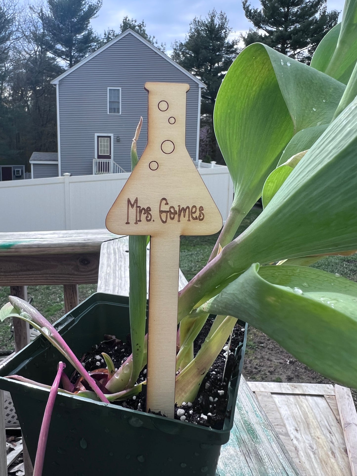 Plant Markers for Teachers