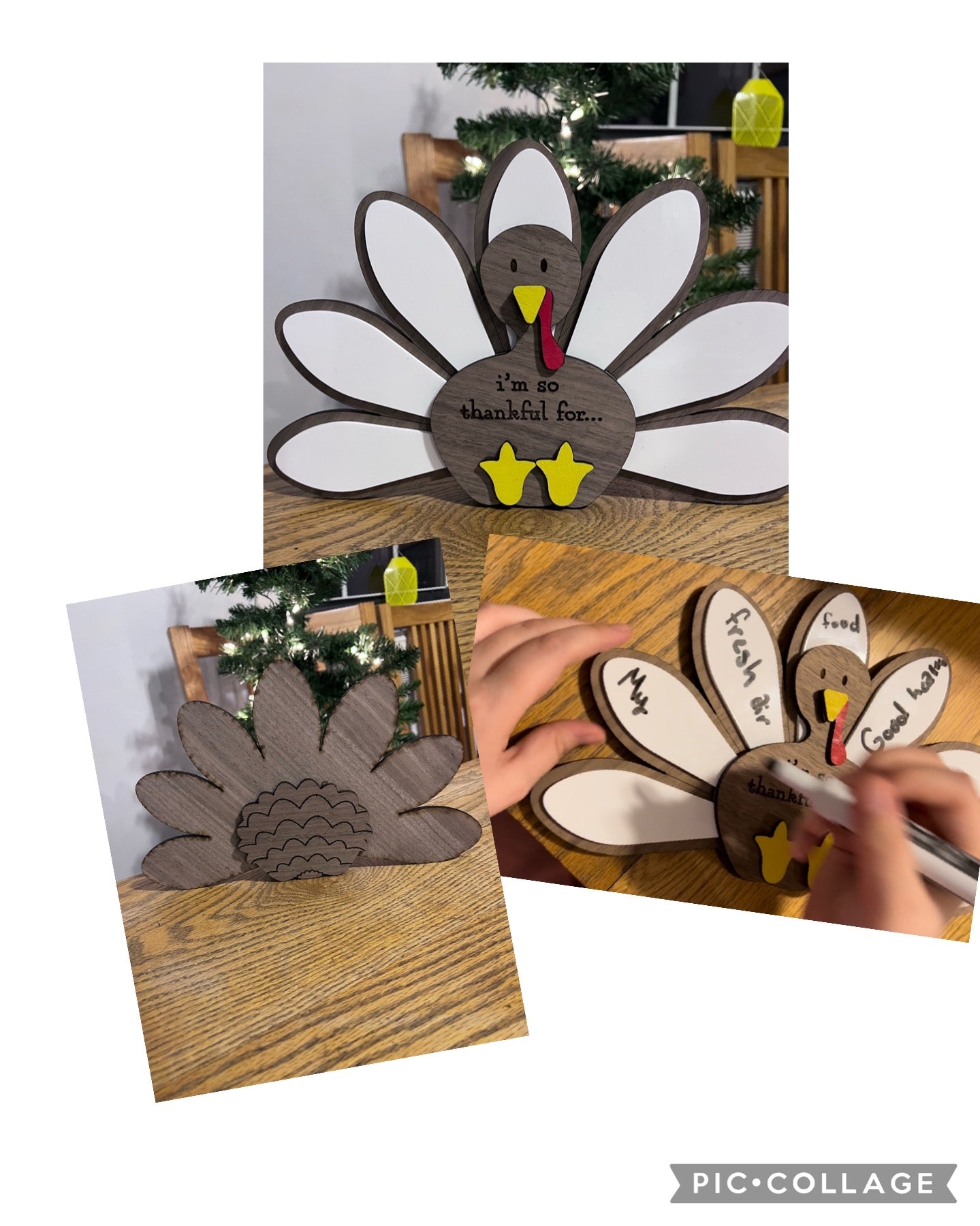 Tom, the Thankful Turkey