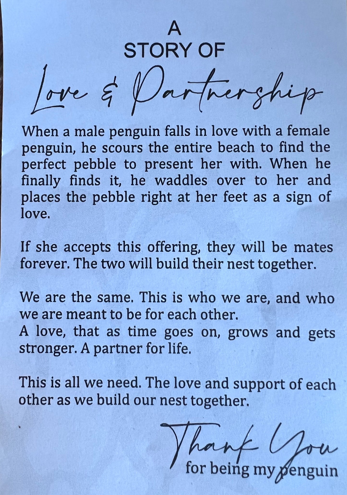 Love & Partnership Penguins
