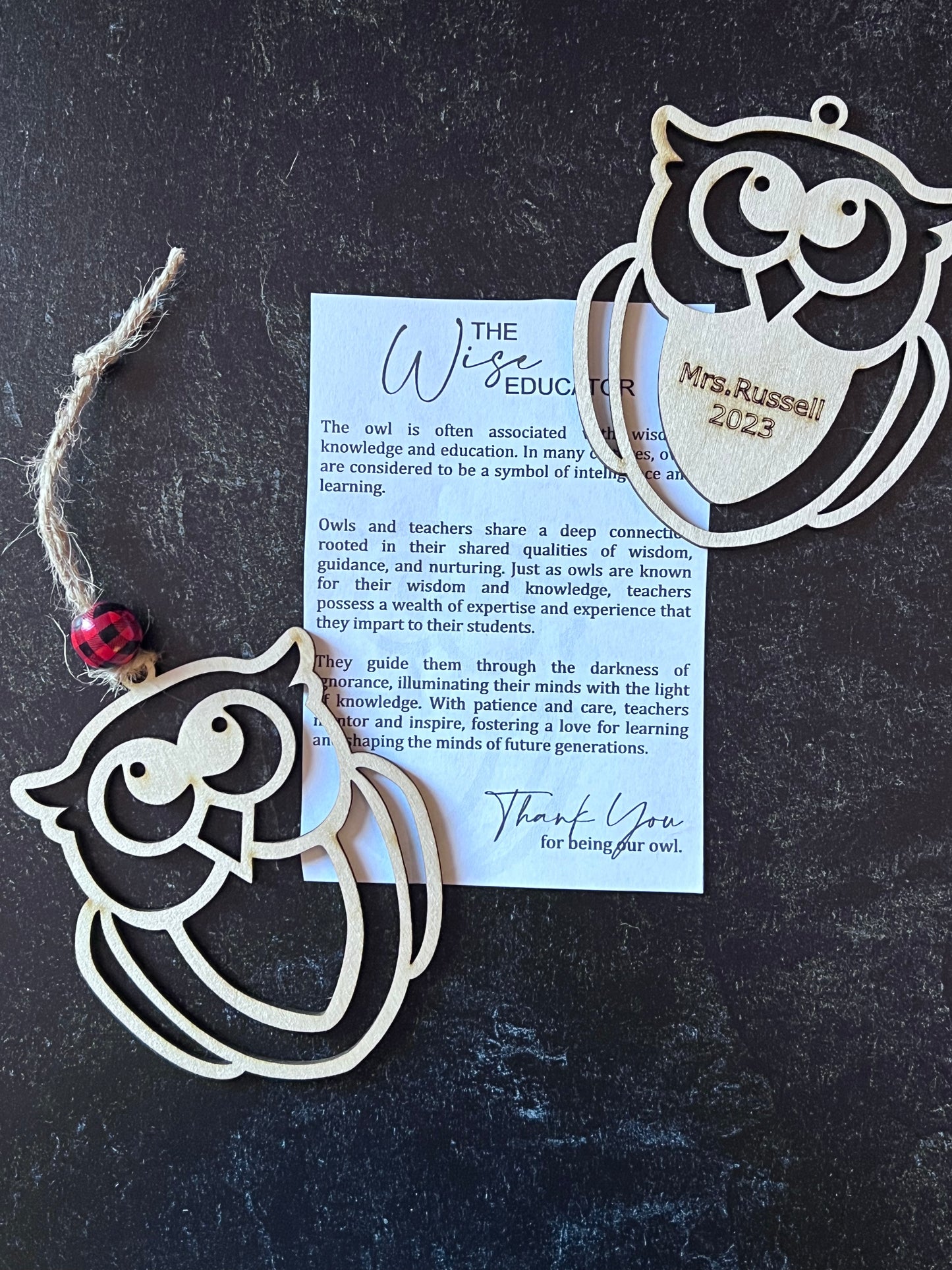 Wise Educator Ornament