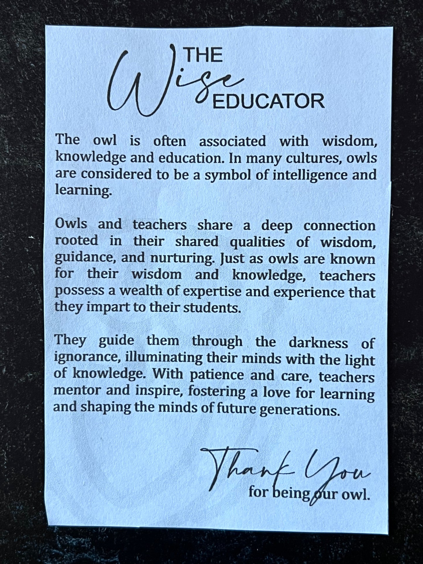 Wise Educator Ornament