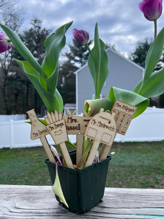 Plant Markers for Teachers